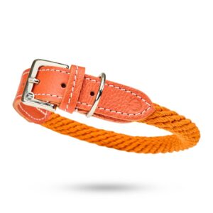 MALUCCHI Halsband Trekker Orange