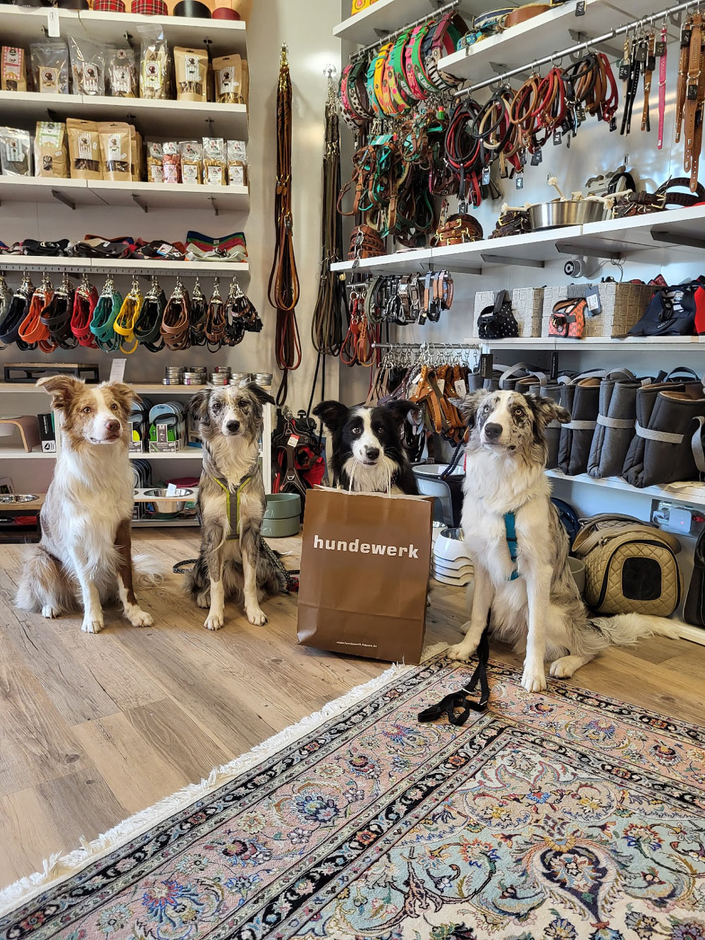 Hundebedarf & Hundezubehör Online Shop hundewerk