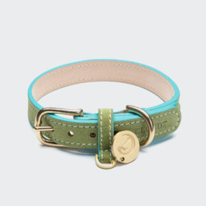 CLOUD7 Halsband Tiergarten Lime Green/Aqua